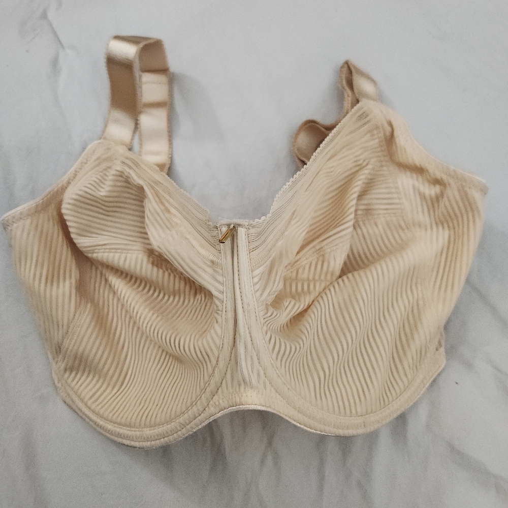 Fantasie bra size 34L